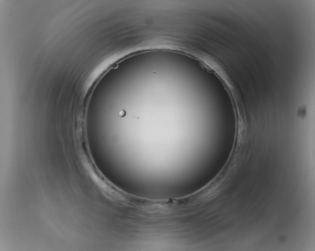 X0000113611101200909251136