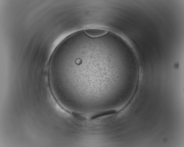 X0000113611102200909251136