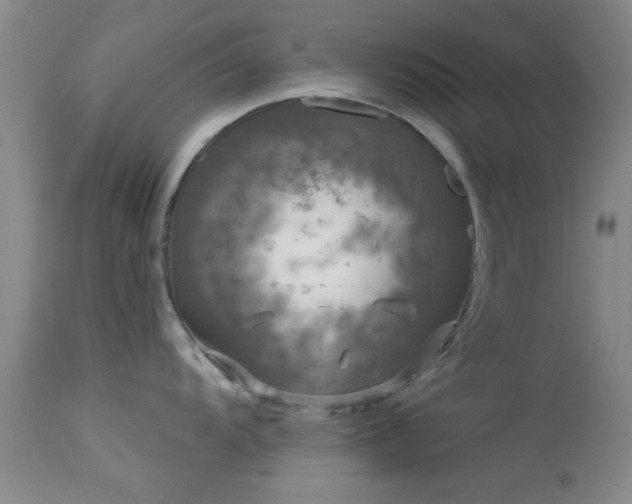 X0000113611104200909251136