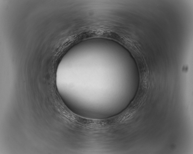 X0000113611105200909251136