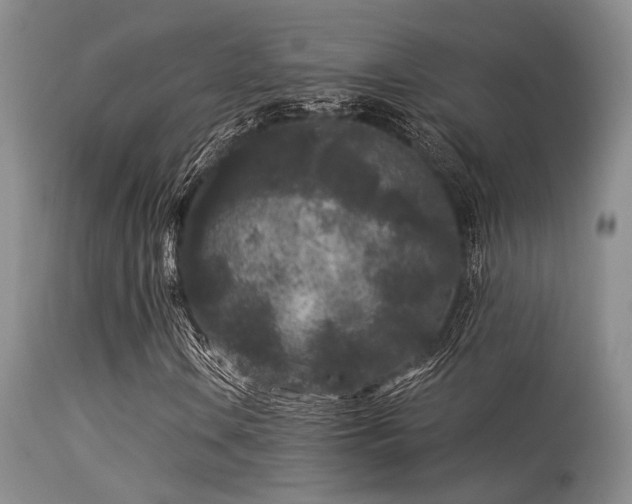 X0000113611106200909251136