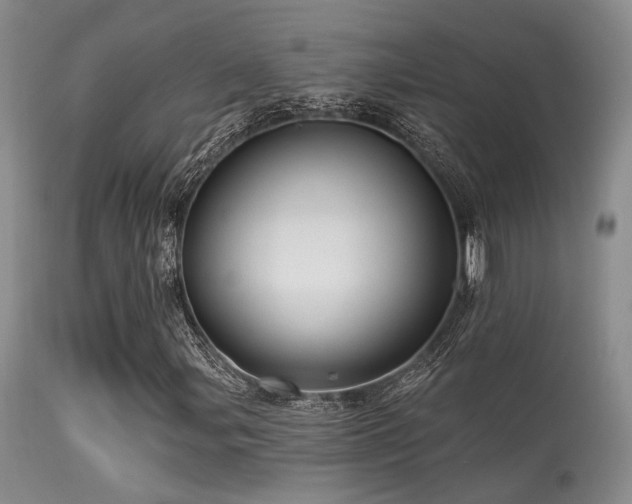 X0000113611107200909251136