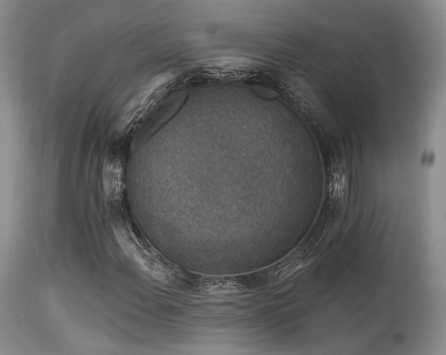 X0000113611108200909251136