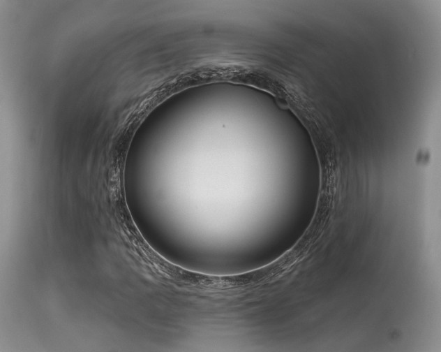 X0000113611109200909251136