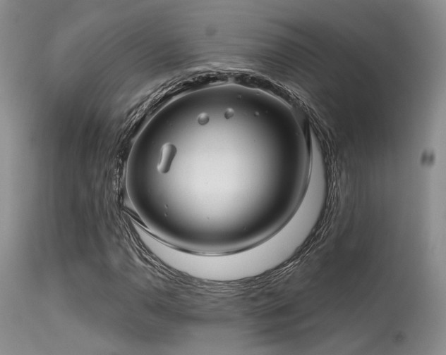 X0000113611110200909251136