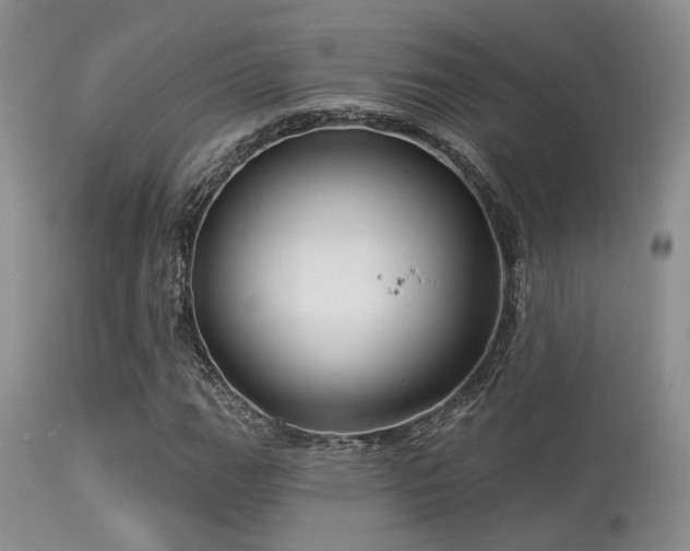 X0000113611111200909251136