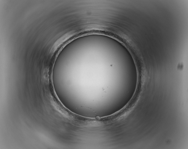 X0000113611113200909251136