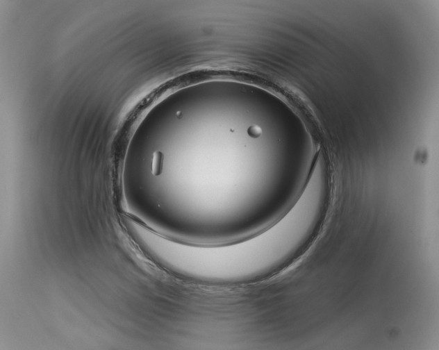 X0000113611114200909251136