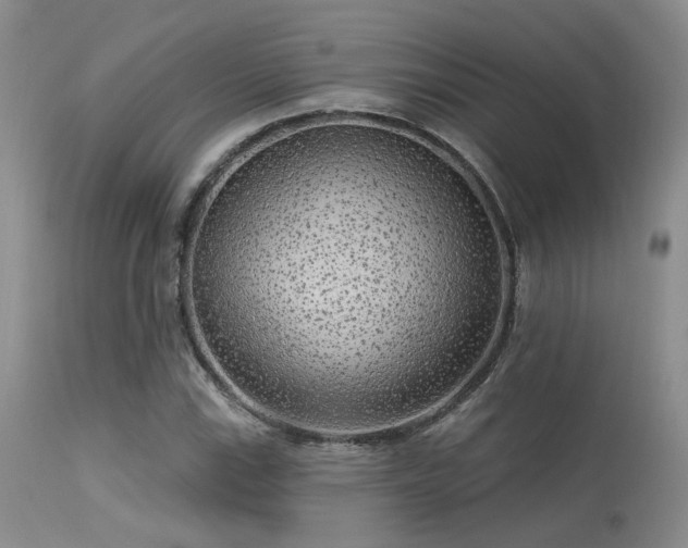 X0000113611115200909251136