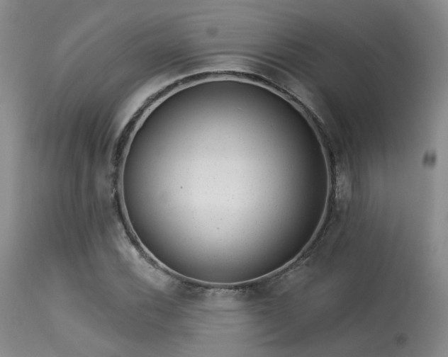 X0000113611116200909251136