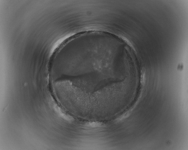 X0000113611117200909251136