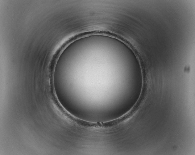 X0000113611118200909251136