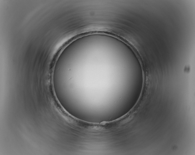 X0000113611119200909251136