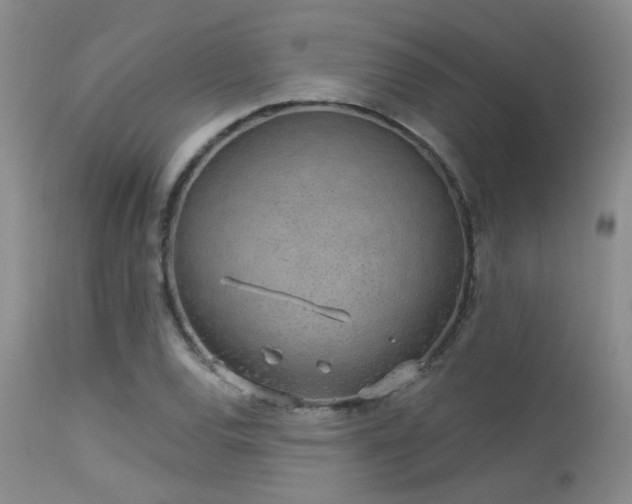 X0000113611120200909251136