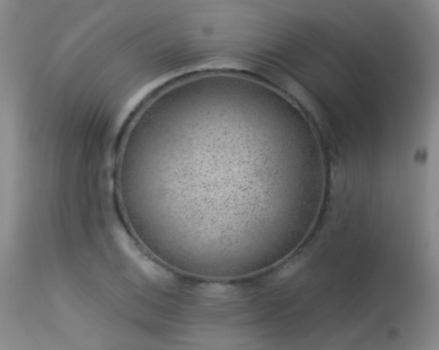 X0000113611124200909251136