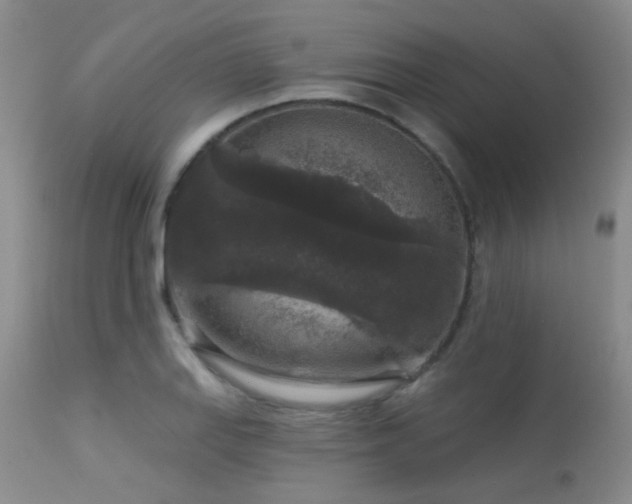 X0000113611127200909251136