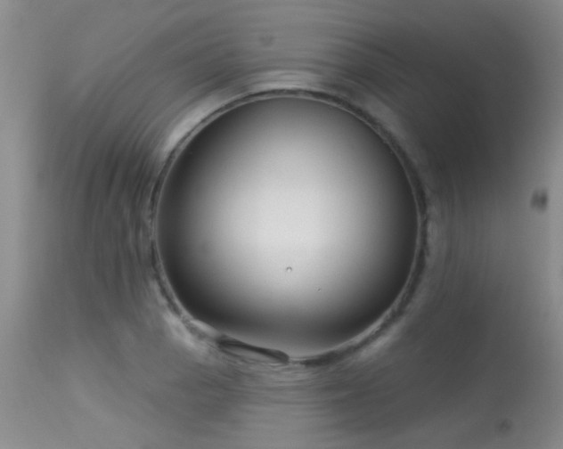 X0000113611129200909251136