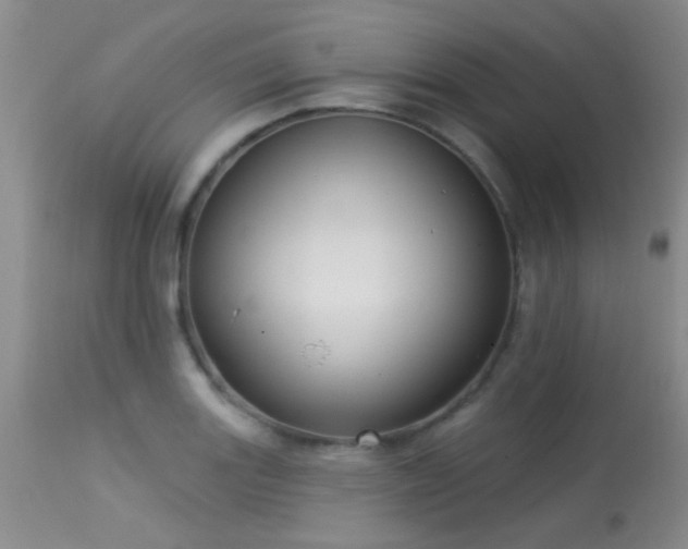 X0000113611131200909251136