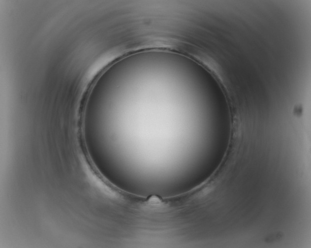 X0000113611135200909251136