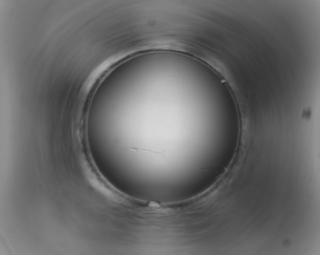 X0000113611136200909251136