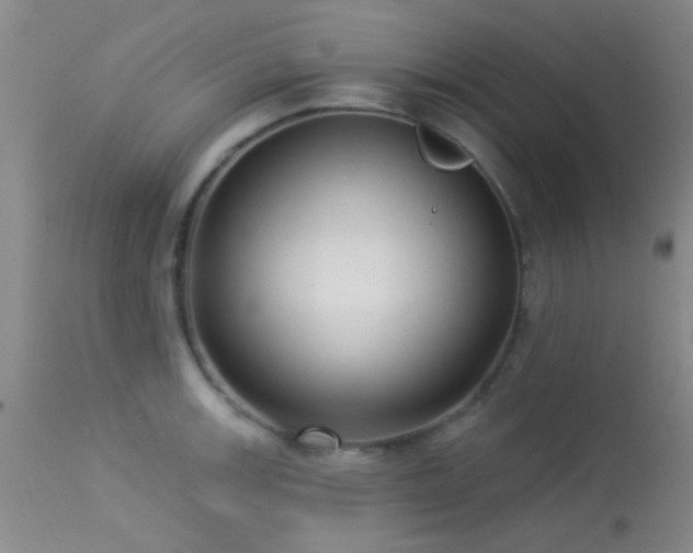 X0000113611139200909251136