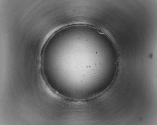 X0000113611140200909251136