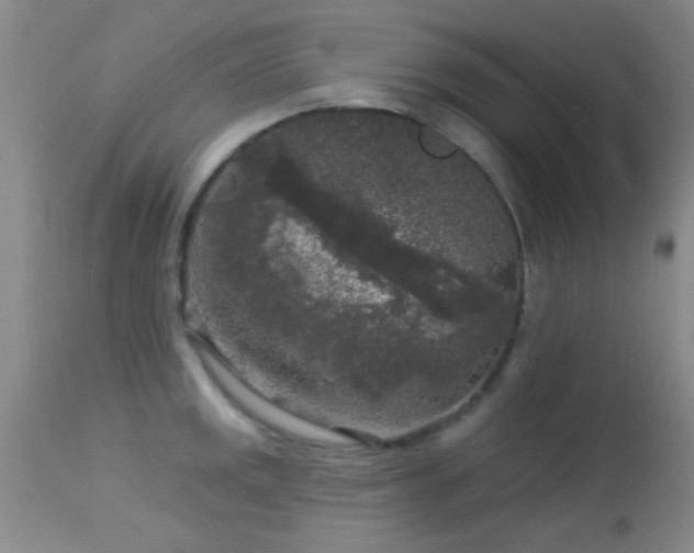 X0000113611141200909251136