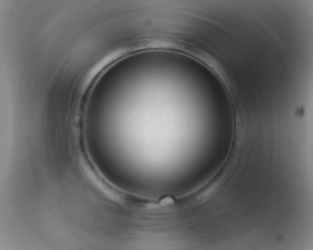 X0000113611142200909251136