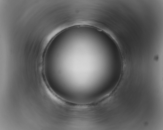 X0000113611143200909251136