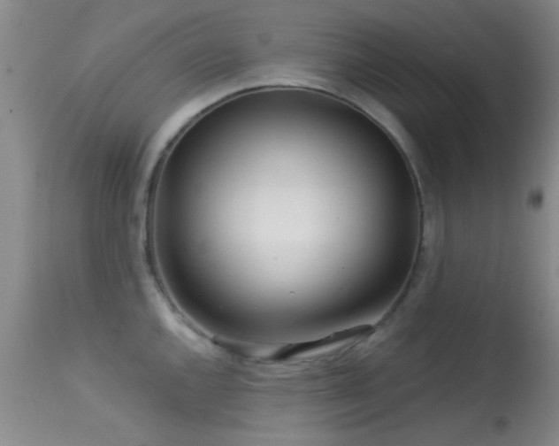 X0000113611144200909251136