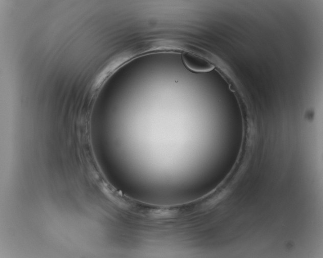 X0000113611145200909251136