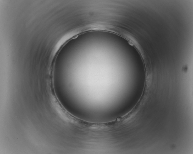 X0000113611146200909251136