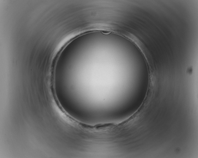 X0000113611147200909251136