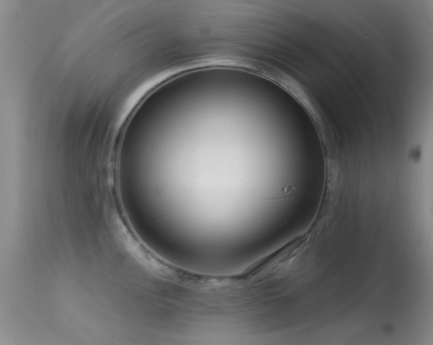 X0000113611148200909251136