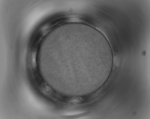 X0000113611150200909251136