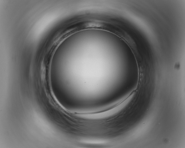 X0000113611151200909251136