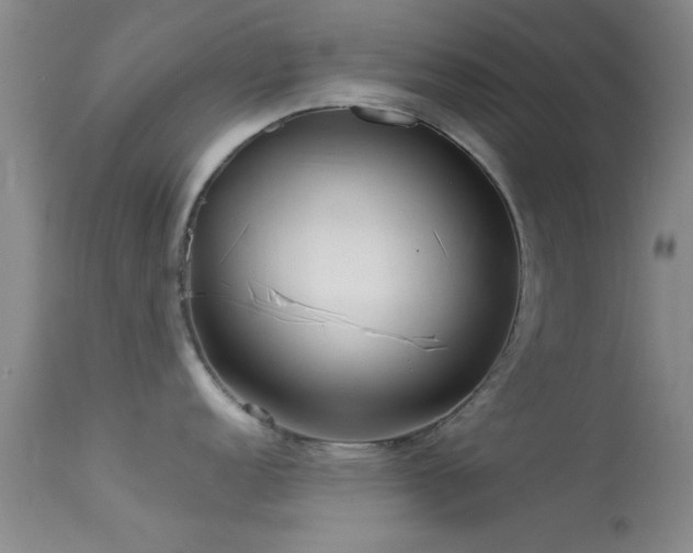 X0000113611152200909251136