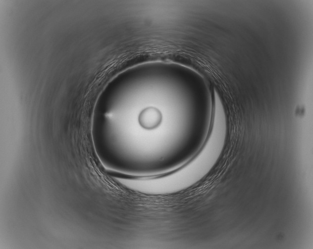 X0000113611153200909251136