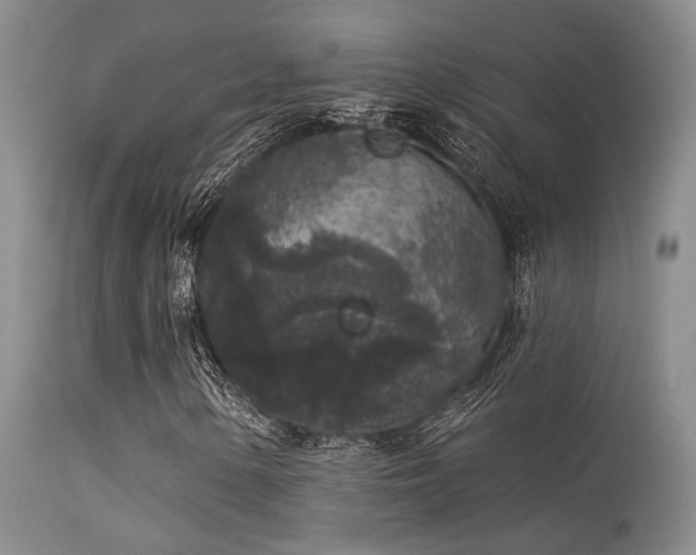 X0000113611154200909251136