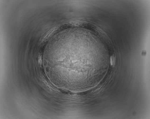 X0000113611155200909251136