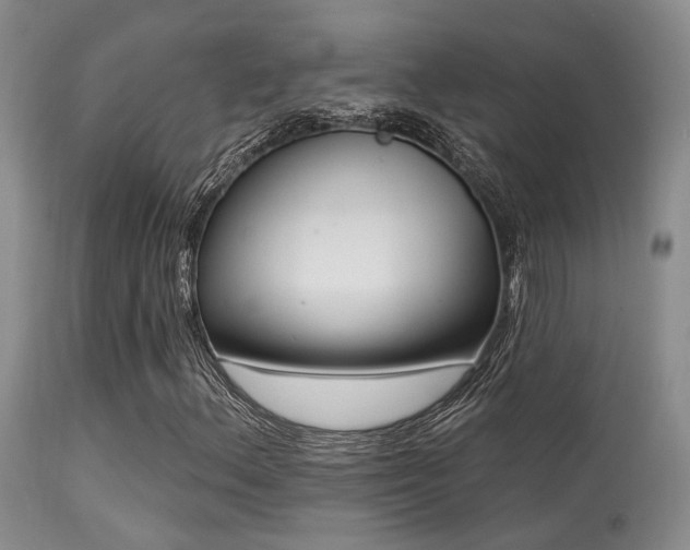 X0000113611156200909251135