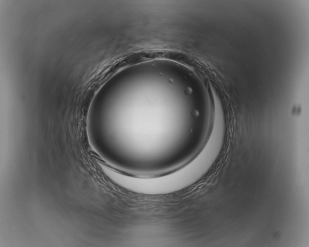 X0000113611157200909251135