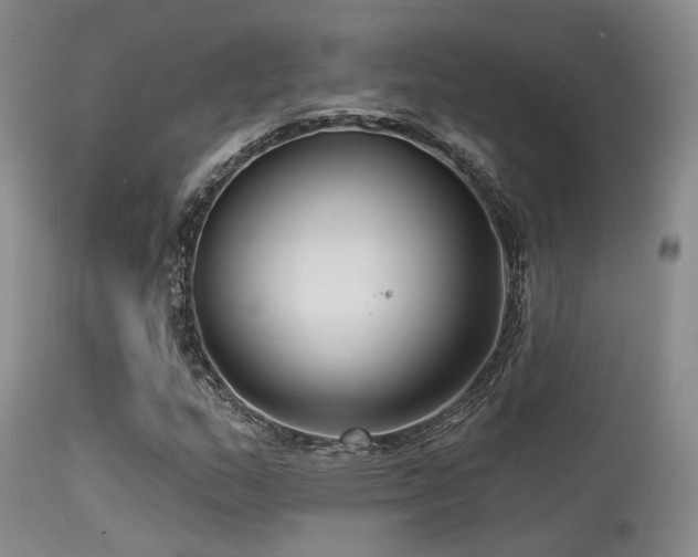 X0000113611159200909251135