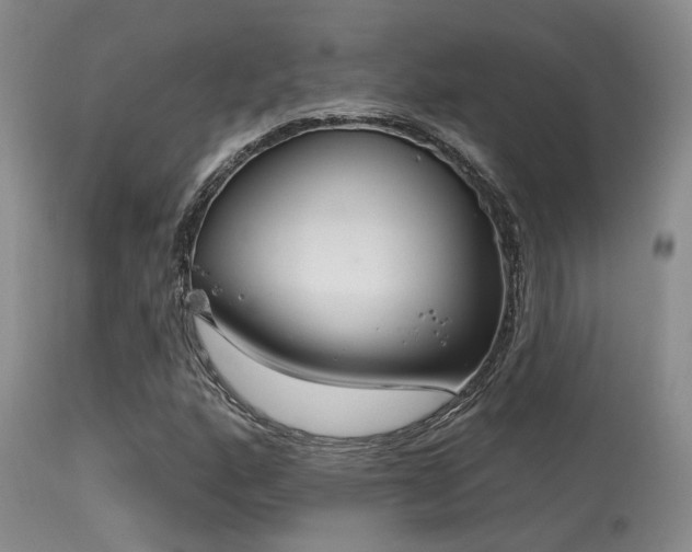 X0000113611160200909251135