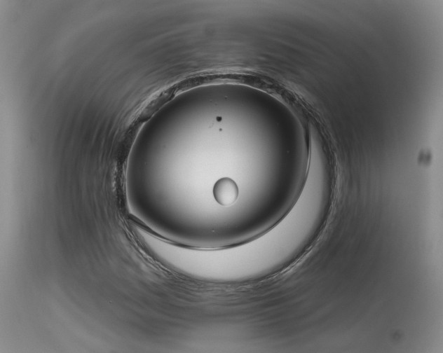 X0000113611161200909251135