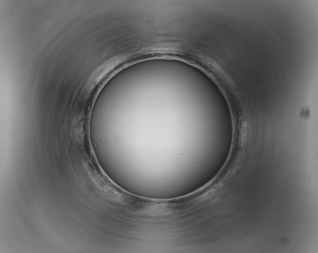 X0000113611162200909251135