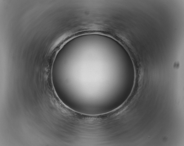 X0000113611163200909251135