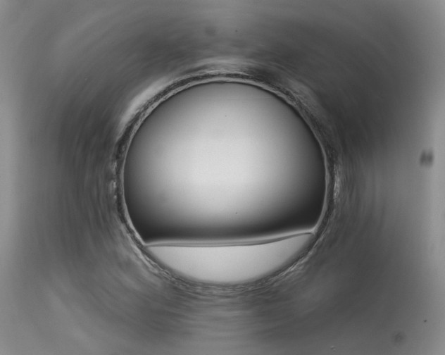 X0000113611164200909251135