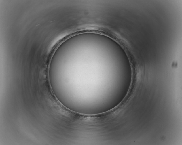 X0000113611166200909251135