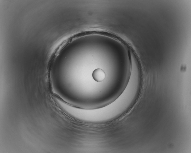 X0000113611167200909251135